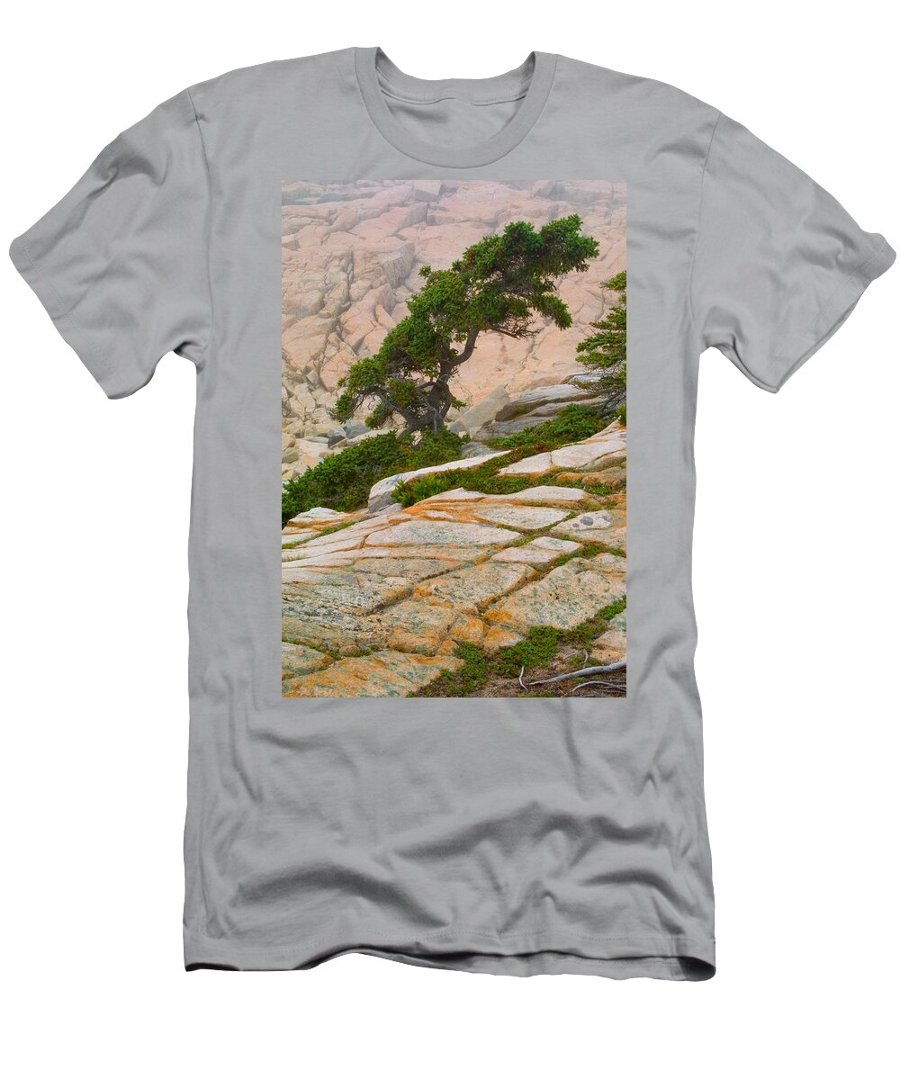 Pitch Pine T-Shirt featuring the photograph Schoodic cliffs by Brent L Ander
