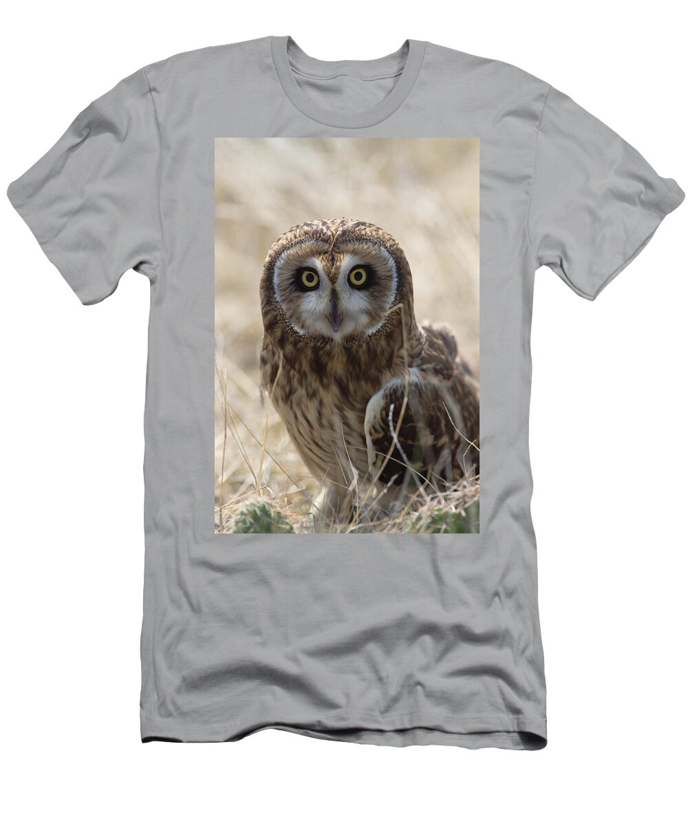 Mp T-Shirt featuring the photograph Short-eared Owl Asio Flammeus Portrait by Konrad Wothe