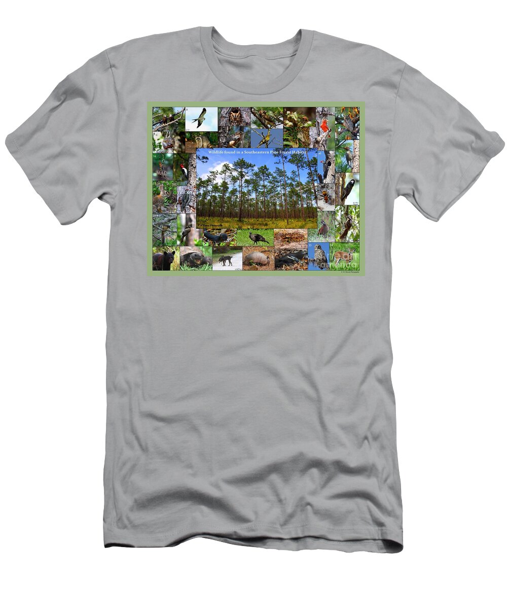 Pine Forest T-Shirt featuring the photograph Southeastern Pine Forest Wildlife Poster by Barbara Bowen