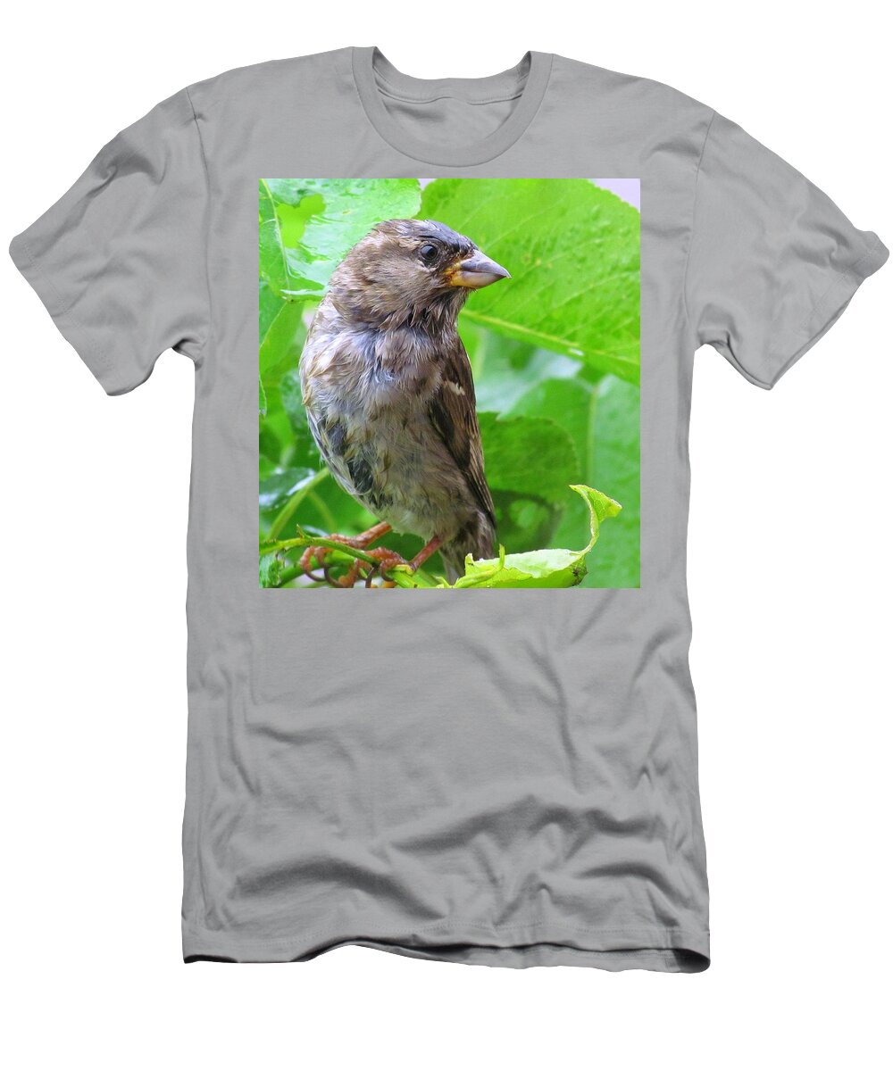 Bird T-Shirt featuring the photograph I'm Not Singing in the Rain by Lori Lafargue
