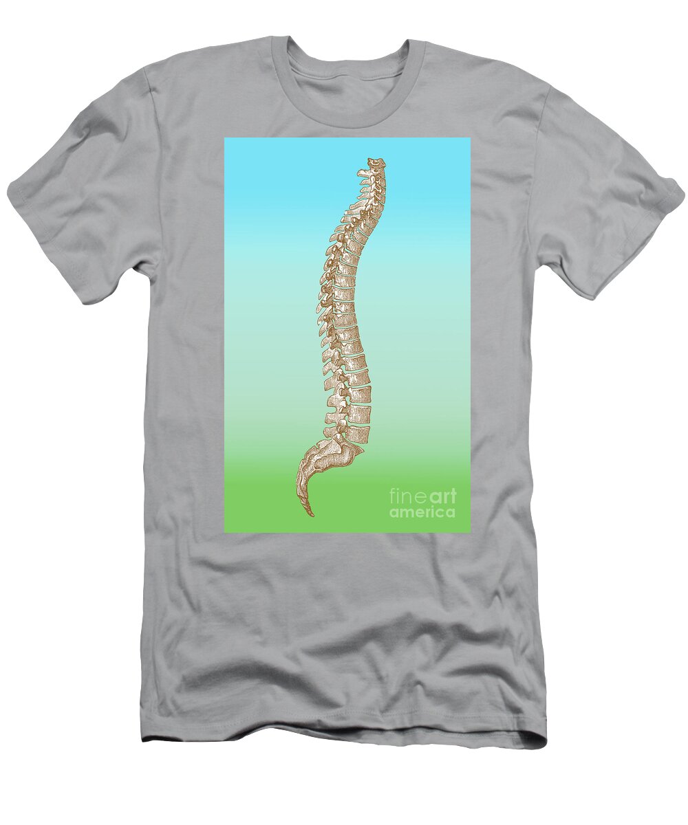 Illustration T-Shirt featuring the photograph Spinal Column by Science Source