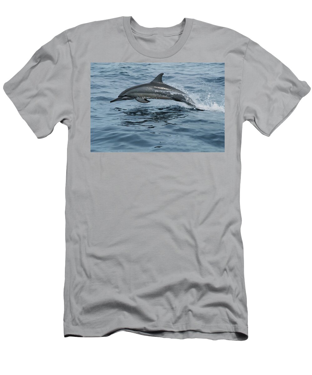 Mp T-Shirt featuring the photograph Spinner Dolphin Stenella Longirostris by Mike Parry