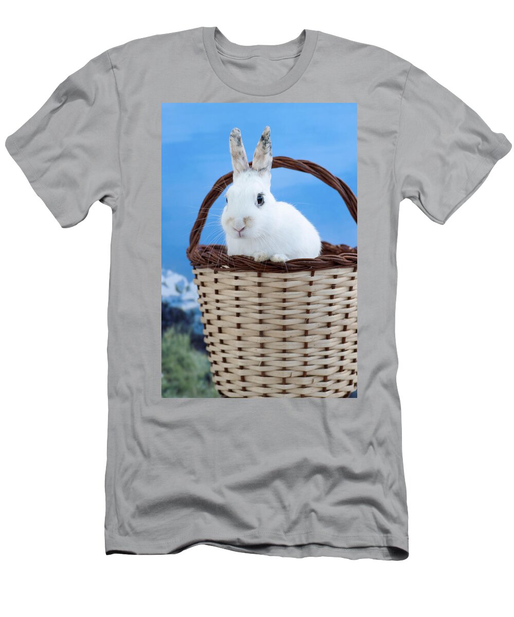White T-Shirt featuring the photograph sugar the easter bunny 3 - A curious and cute white rabbit in a hand basket by Pedro Cardona Llambias