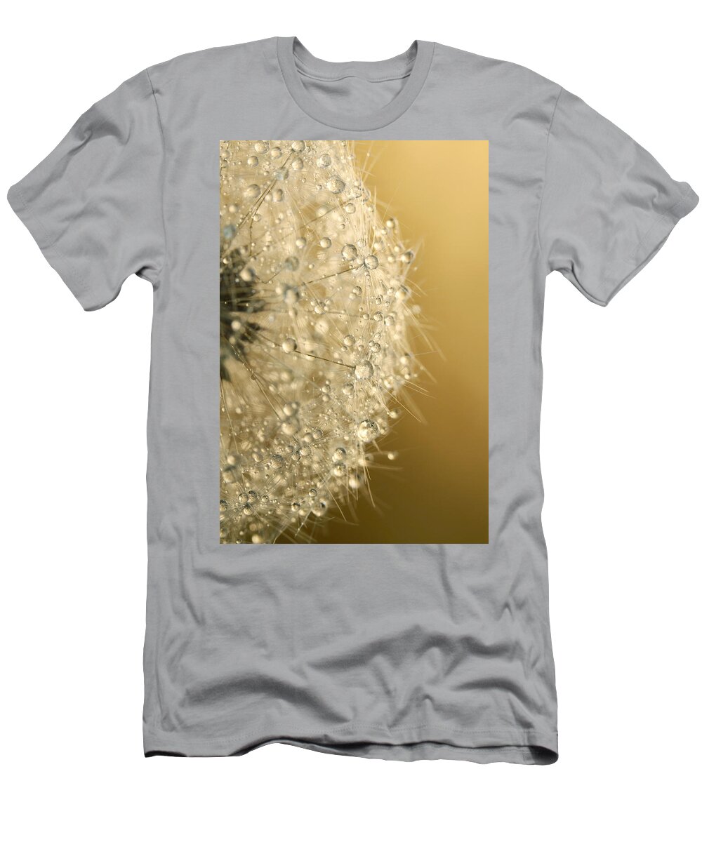 Dandelion T-Shirt featuring the photograph Sun Sparkled Dandy by Sharon Johnstone