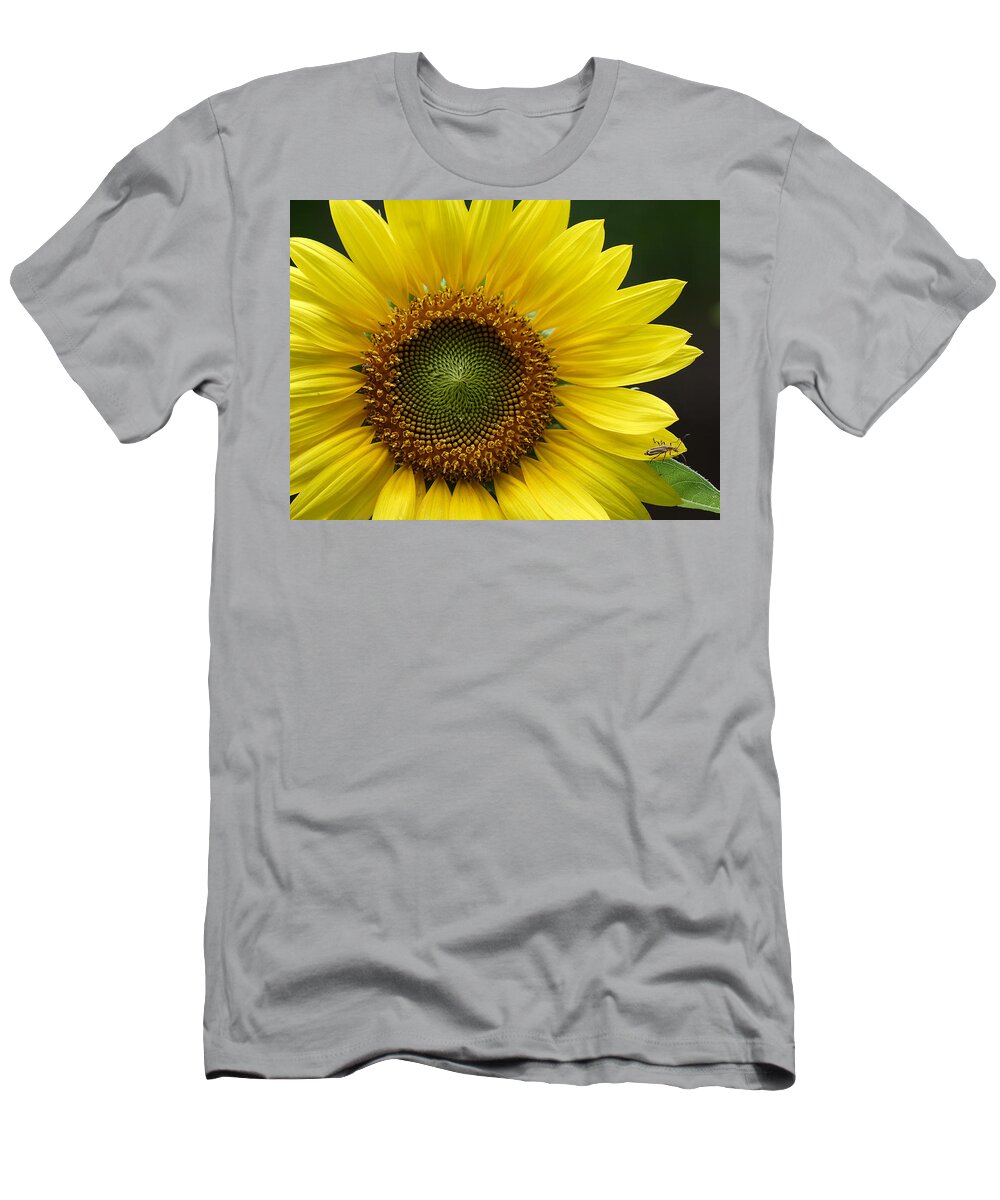 Helianthus Annuus T-Shirt featuring the photograph Sunflower With Insect by Daniel Reed