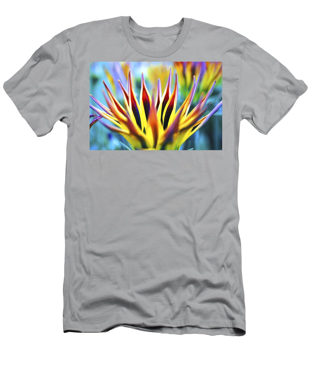 Sunrise T-Shirt featuring the photograph Sunrise Flower by Sumit Mehndiratta
