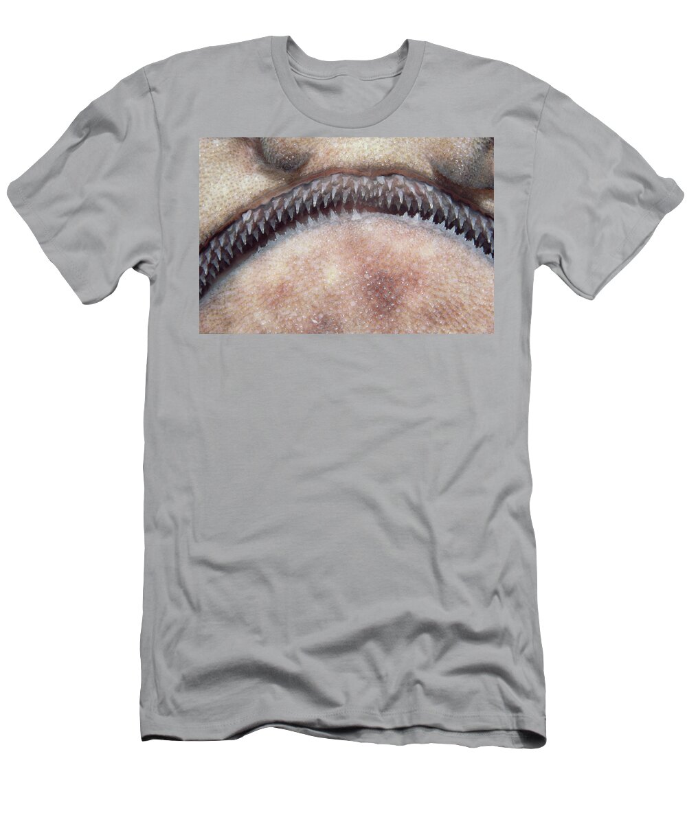 00085140 T-Shirt featuring the photograph Swell Shark Teeth by Flip Nicklin