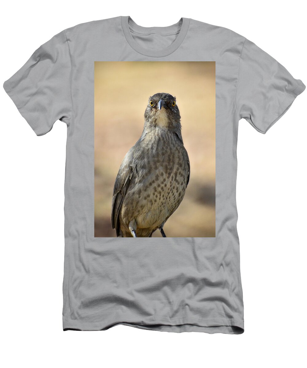 Curve-billed Thrasher T-Shirt featuring the photograph The Eyes Have It by Saija Lehtonen