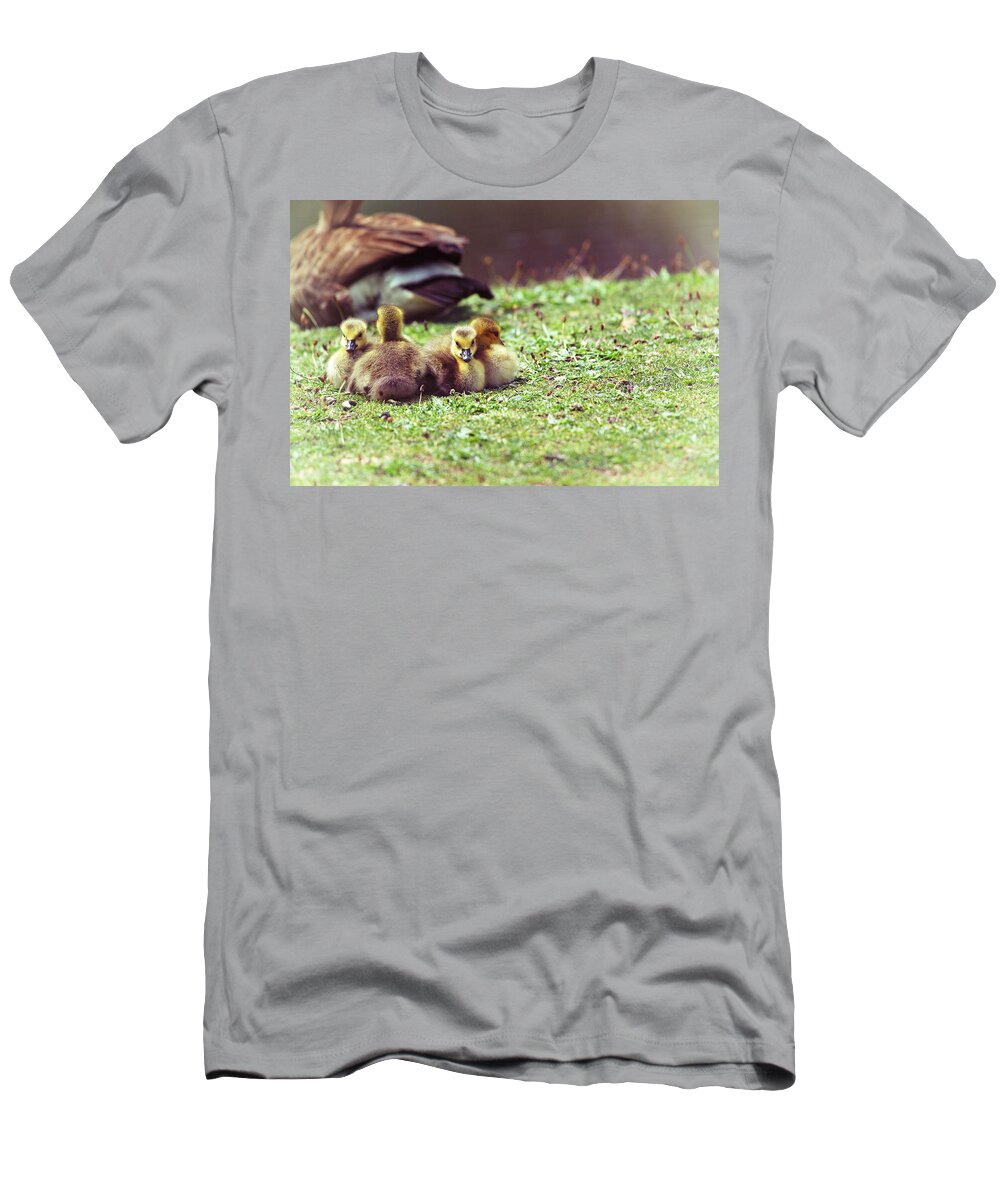 Geeselings T-Shirt featuring the photograph The First Family by Karol Livote