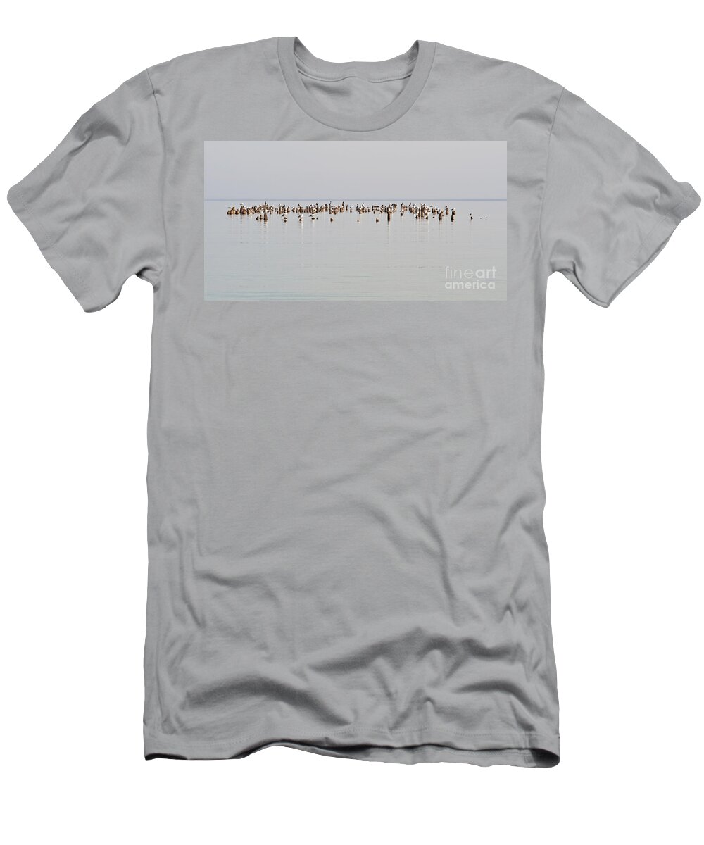 Birds T-Shirt featuring the photograph The Hangout by Larry Carr