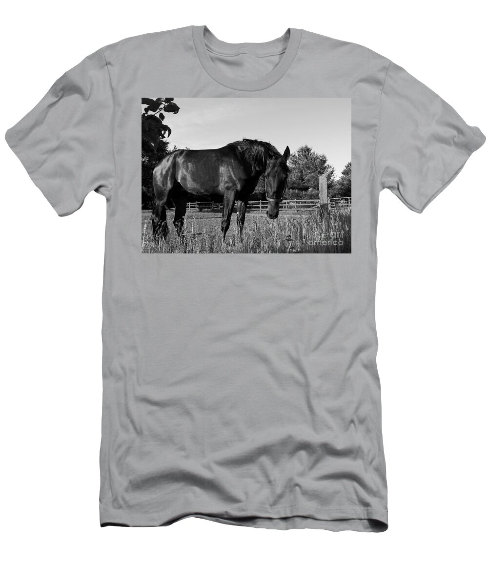 Horse T-Shirt featuring the photograph The Stallion by Davandra Cribbie