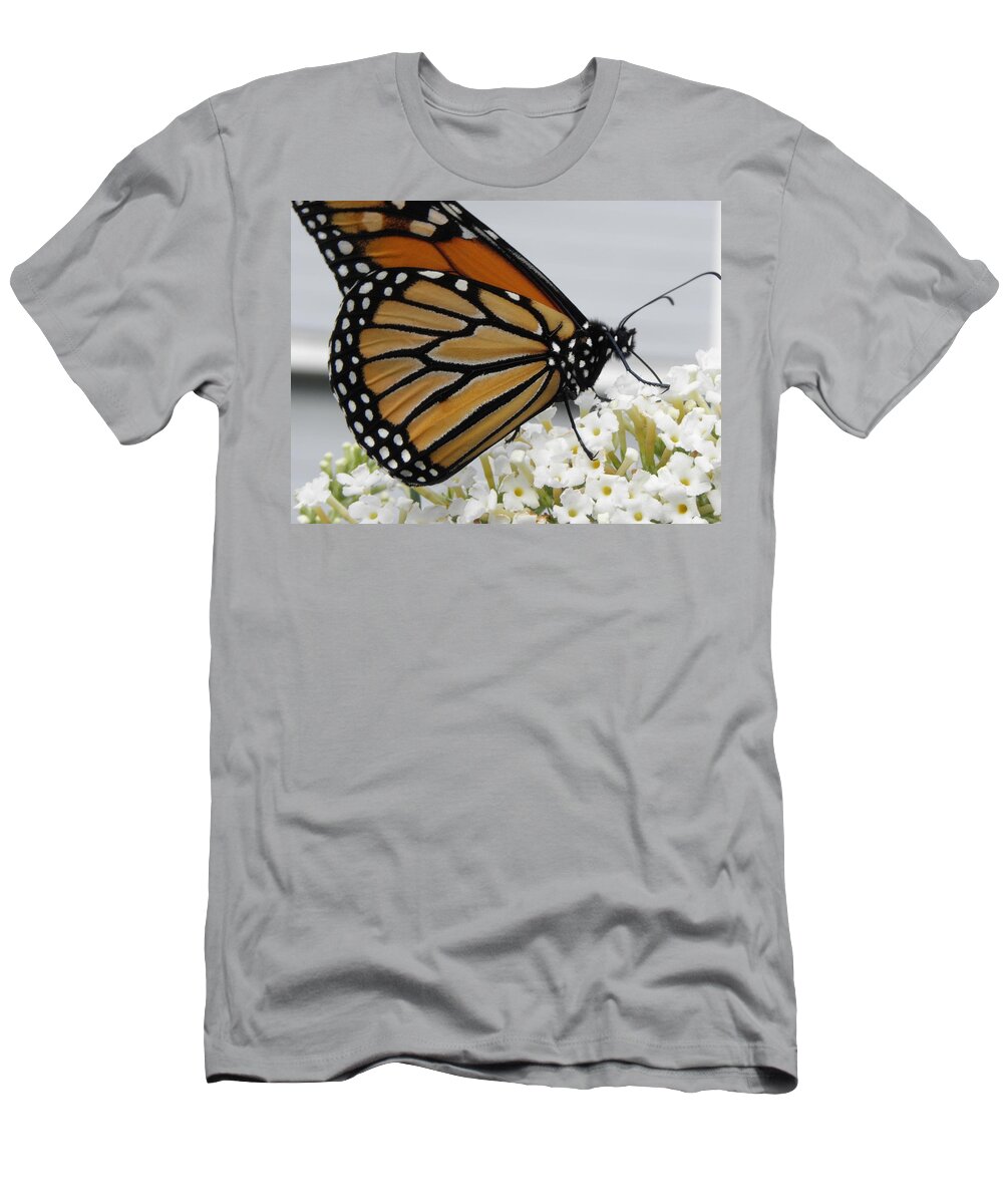Monarch T-Shirt featuring the photograph Up Close And Personal by Kim Galluzzo Wozniak
