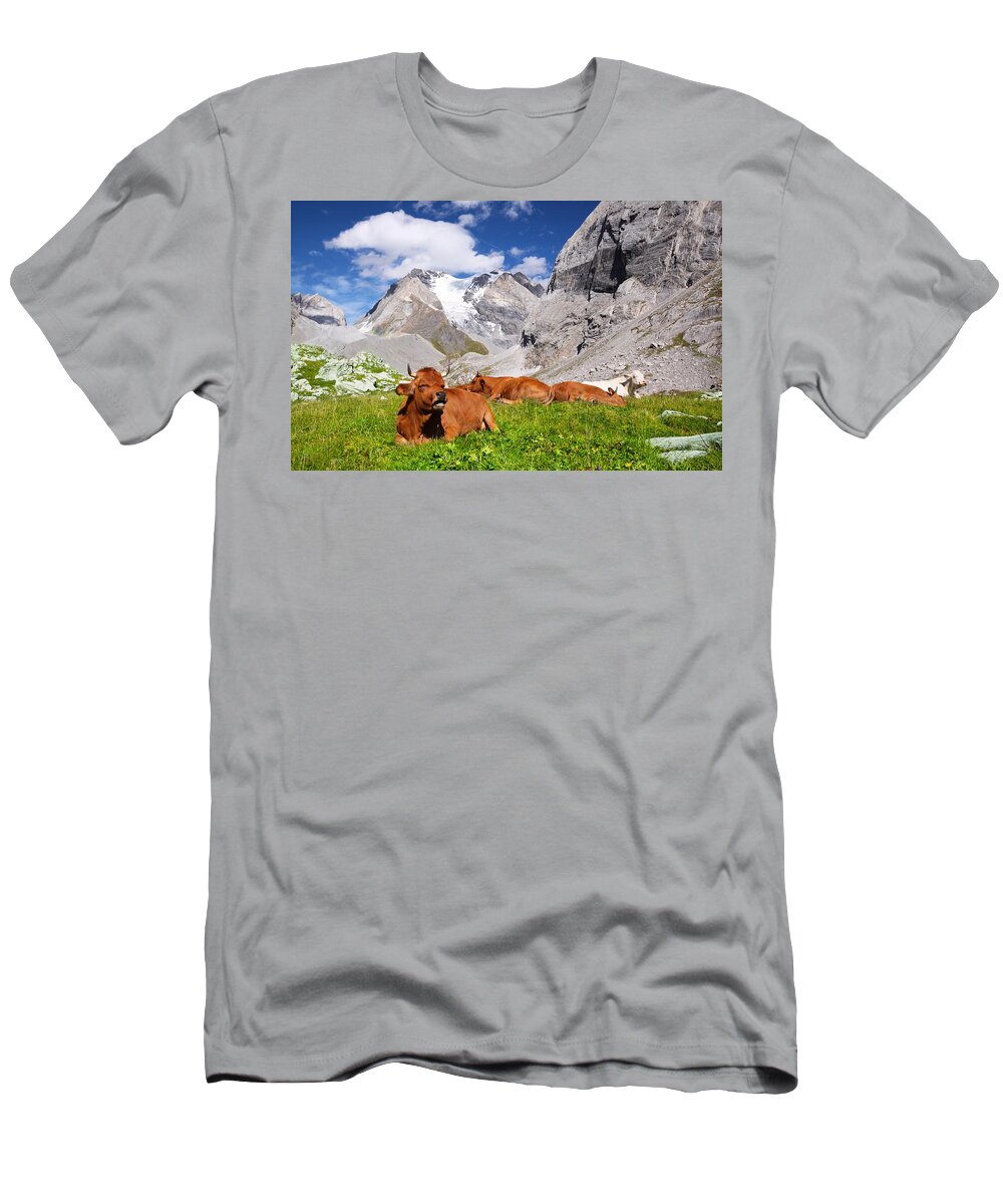 Vanoise T-Shirt featuring the photograph Vanoise by Mircea Costina Photography