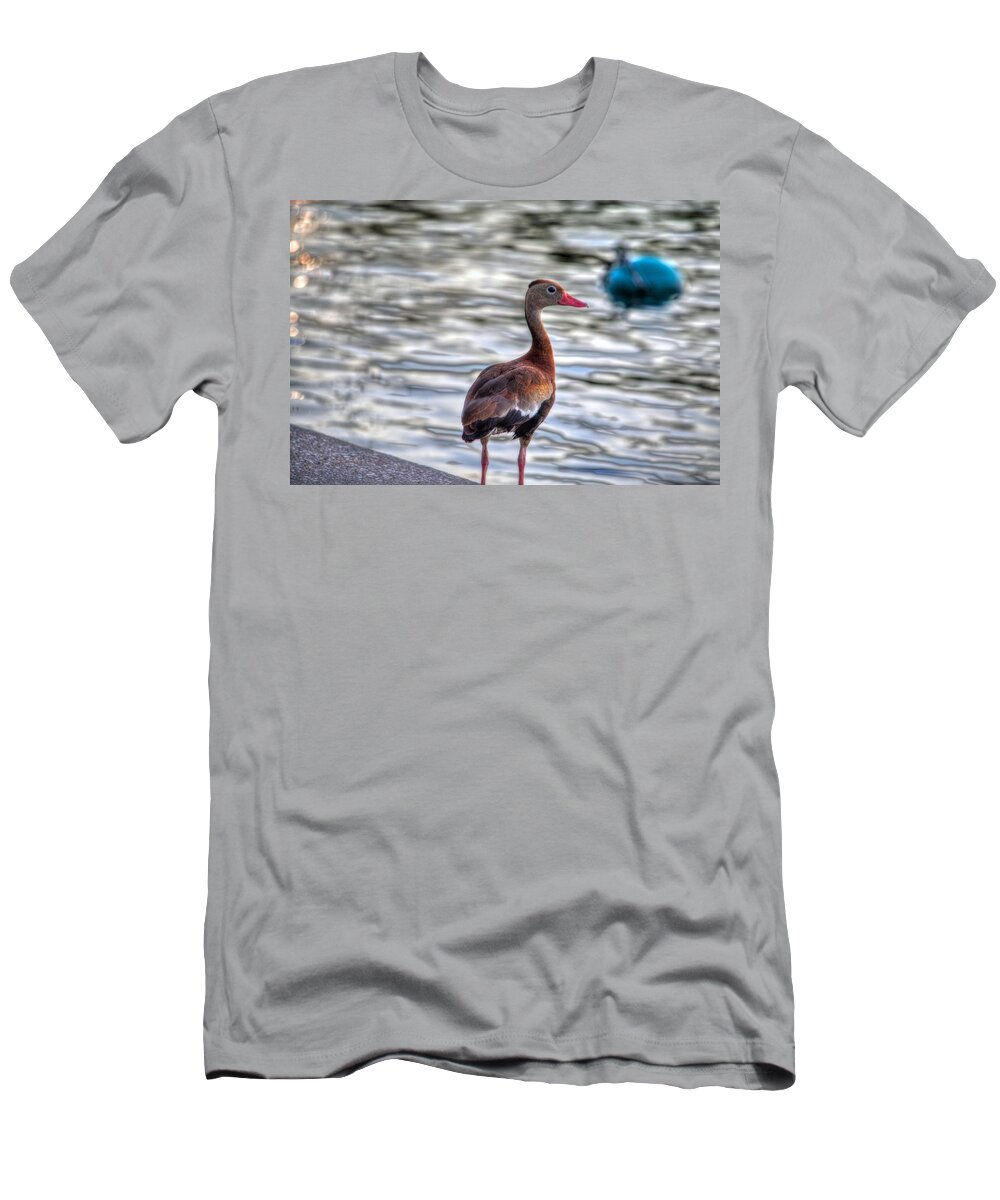 Duck T-Shirt featuring the photograph Waiting for Dinner by David Morefield