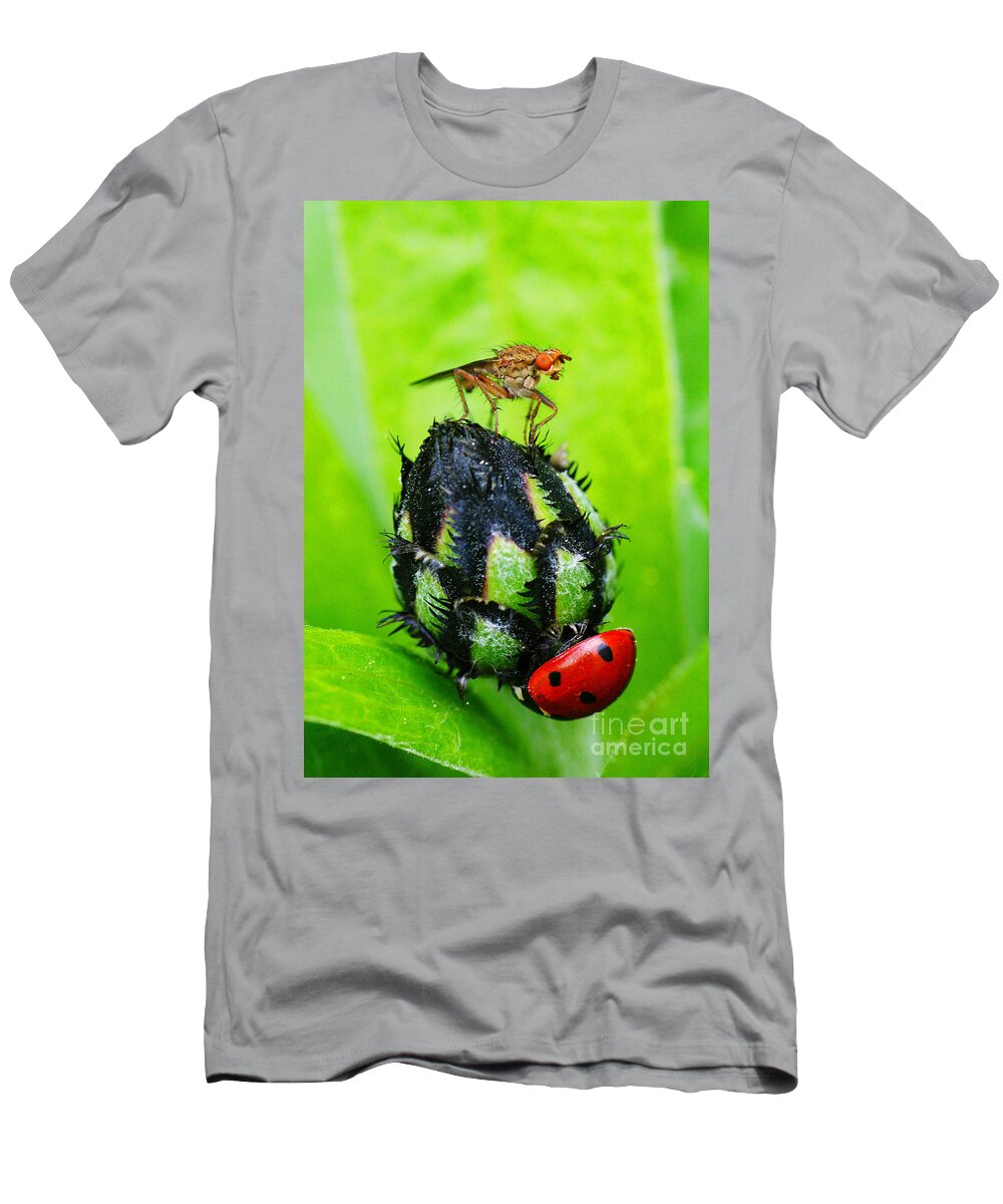 Bugs T-Shirt featuring the photograph Where Did You Go by Randy Harris