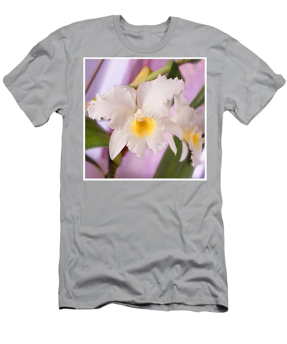White Flower T-Shirt featuring the photograph White Orchid by Mike McGlothlen