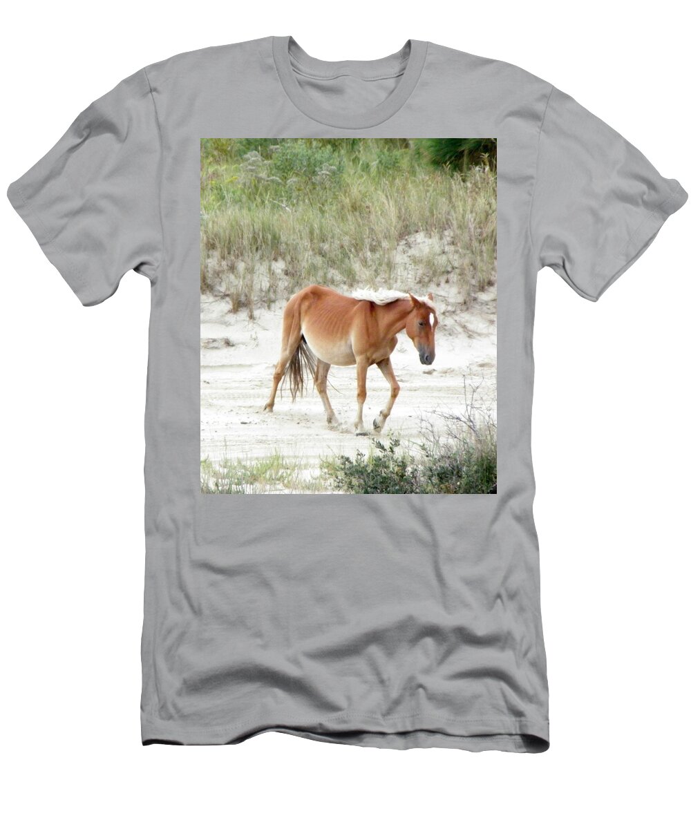 Wild T-Shirt featuring the photograph Wild Spanish Mustang Of The Outer Banks Nc by Kim Galluzzo