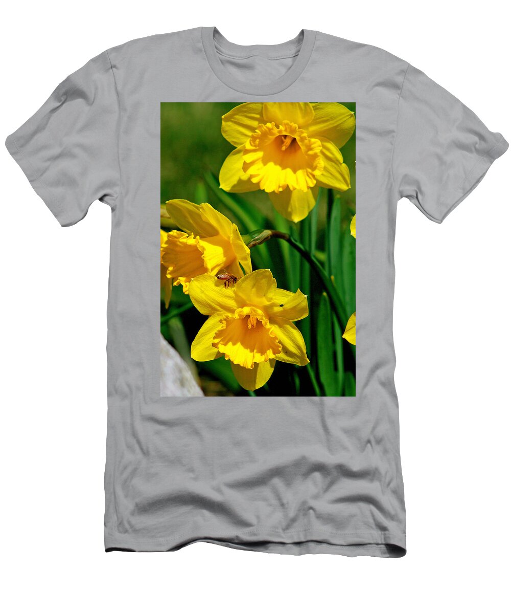 Beautiful T-Shirt featuring the photograph Yellow Daffodils And Honeybee by Kay Novy