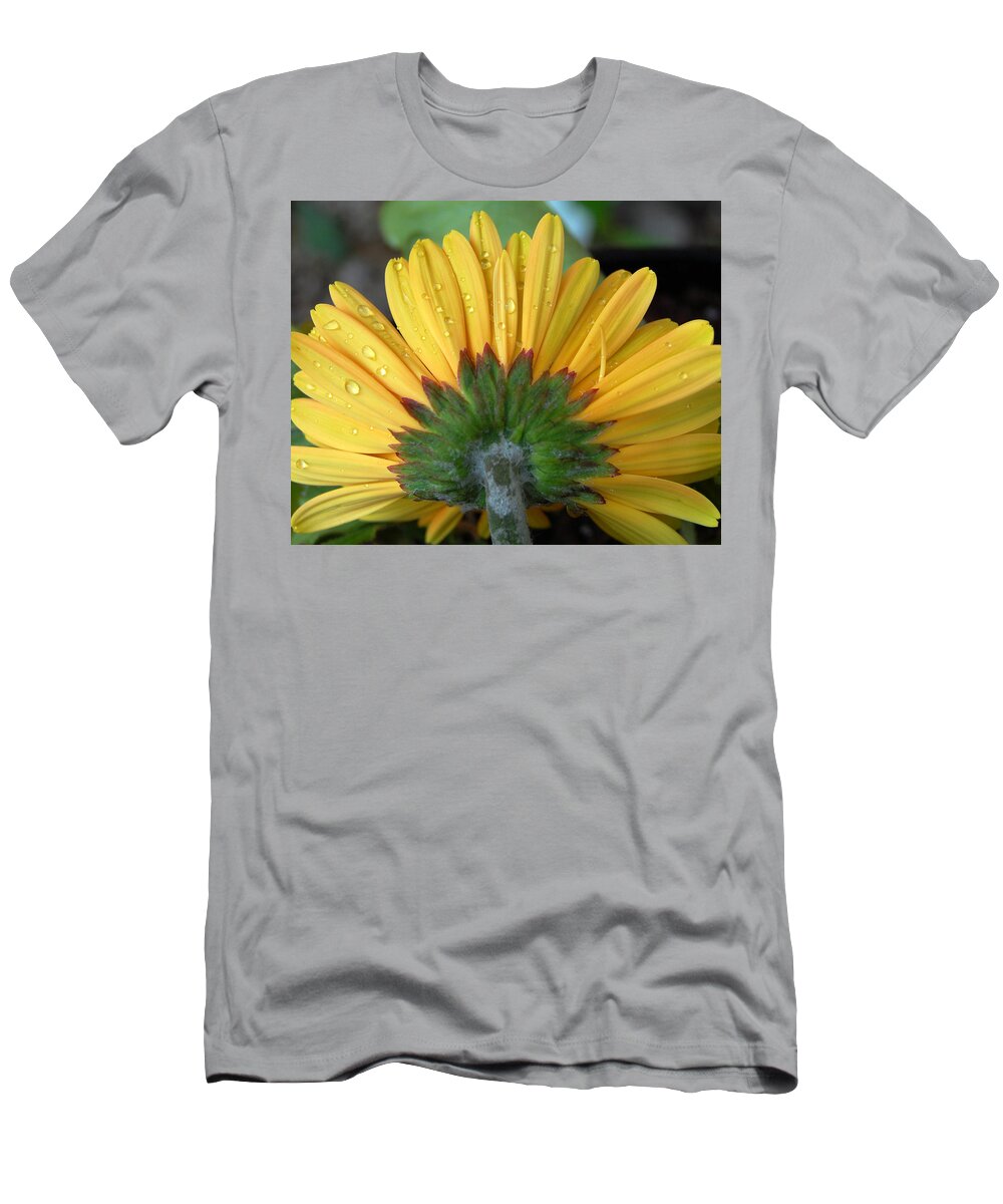 Flowers T-Shirt featuring the photograph Water drops on Gerbera Daisy by Amy Fose