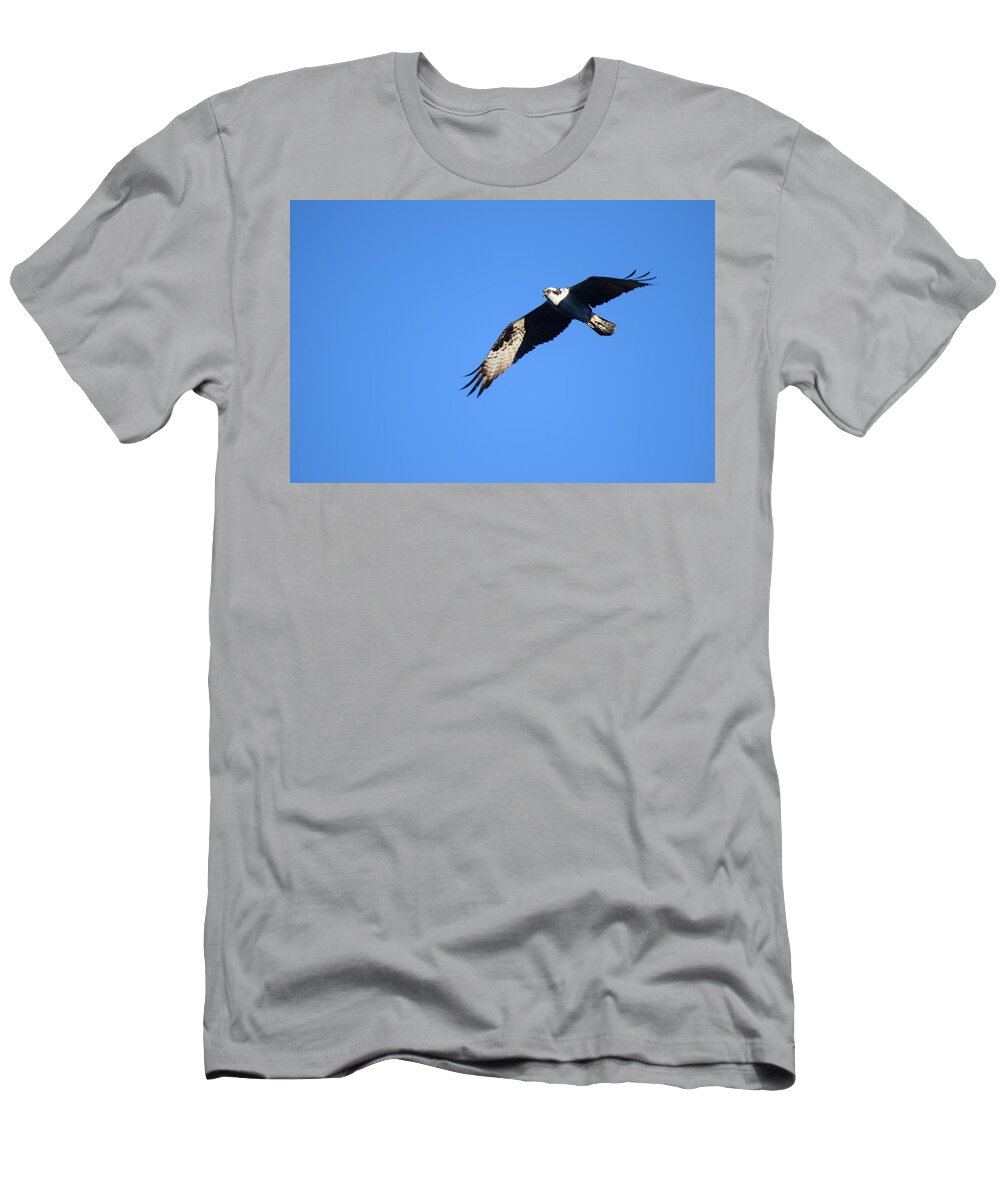 Osprey T-Shirt featuring the photograph Osprey Burgess Res by Margarethe Binkley