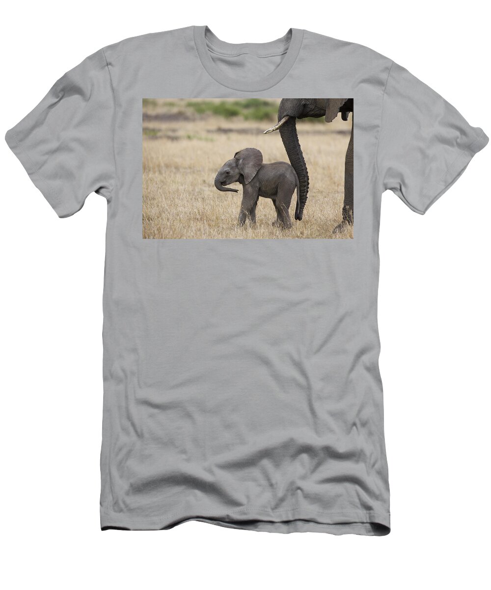 00784040 T-Shirt featuring the photograph African Elephant Mother And Under 3 by Suzi Eszterhas