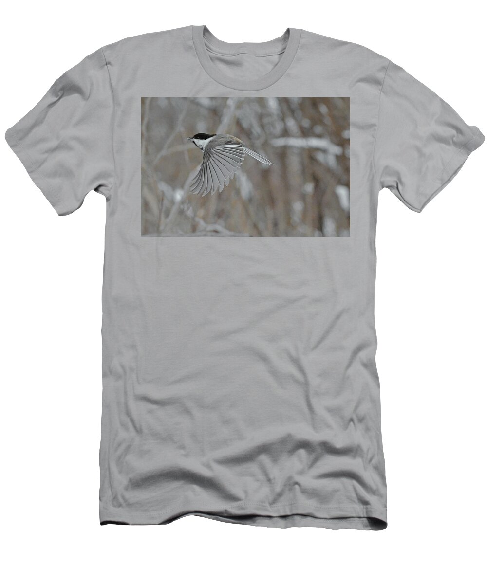 Black-capped Chickadee T-Shirt featuring the photograph Black-capped Chickadee #2 by Asbed Iskedjian