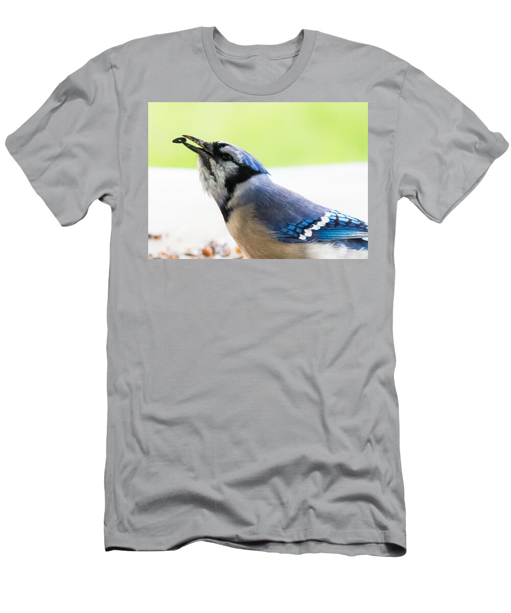Blue Jay T-Shirt featuring the photograph Blue Jay  by Holden The Moment