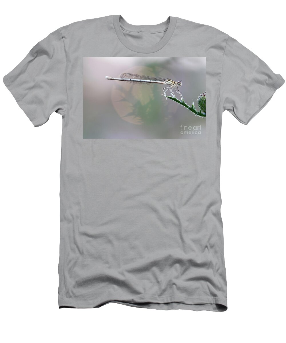 Dragonfly T-Shirt featuring the photograph Dragonfly on leaf #1 by Michal Boubin