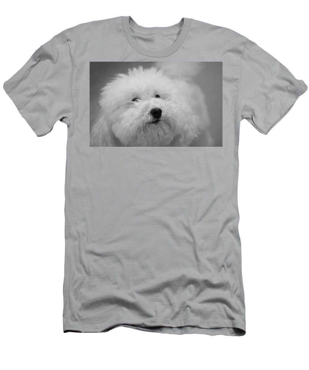  T-Shirt featuring the photograph Dusty... #1 by The Art Of Marilyn Ridoutt-Greene