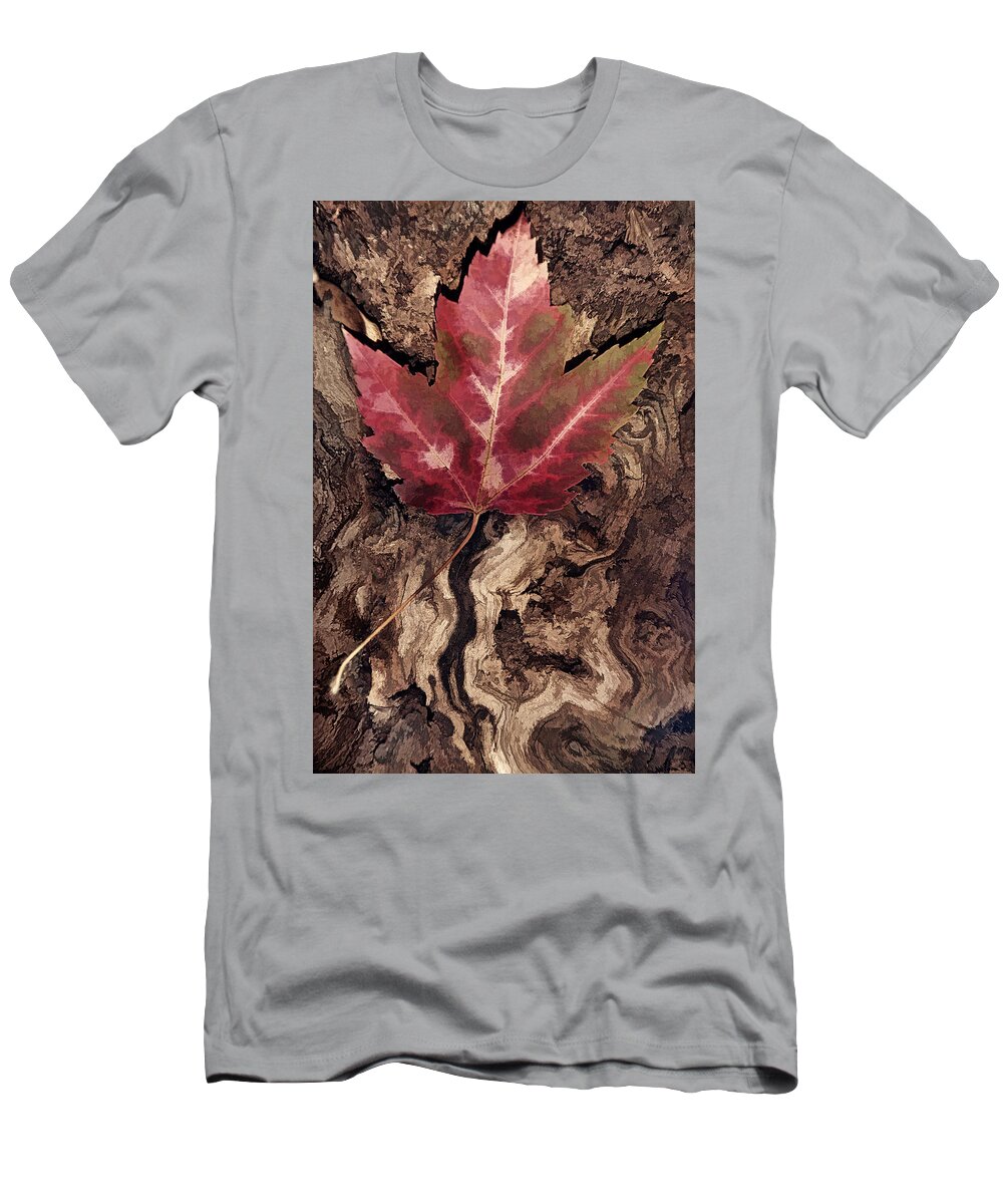 Leaf T-Shirt featuring the photograph Fallen Leaf #1 by Leda Robertson