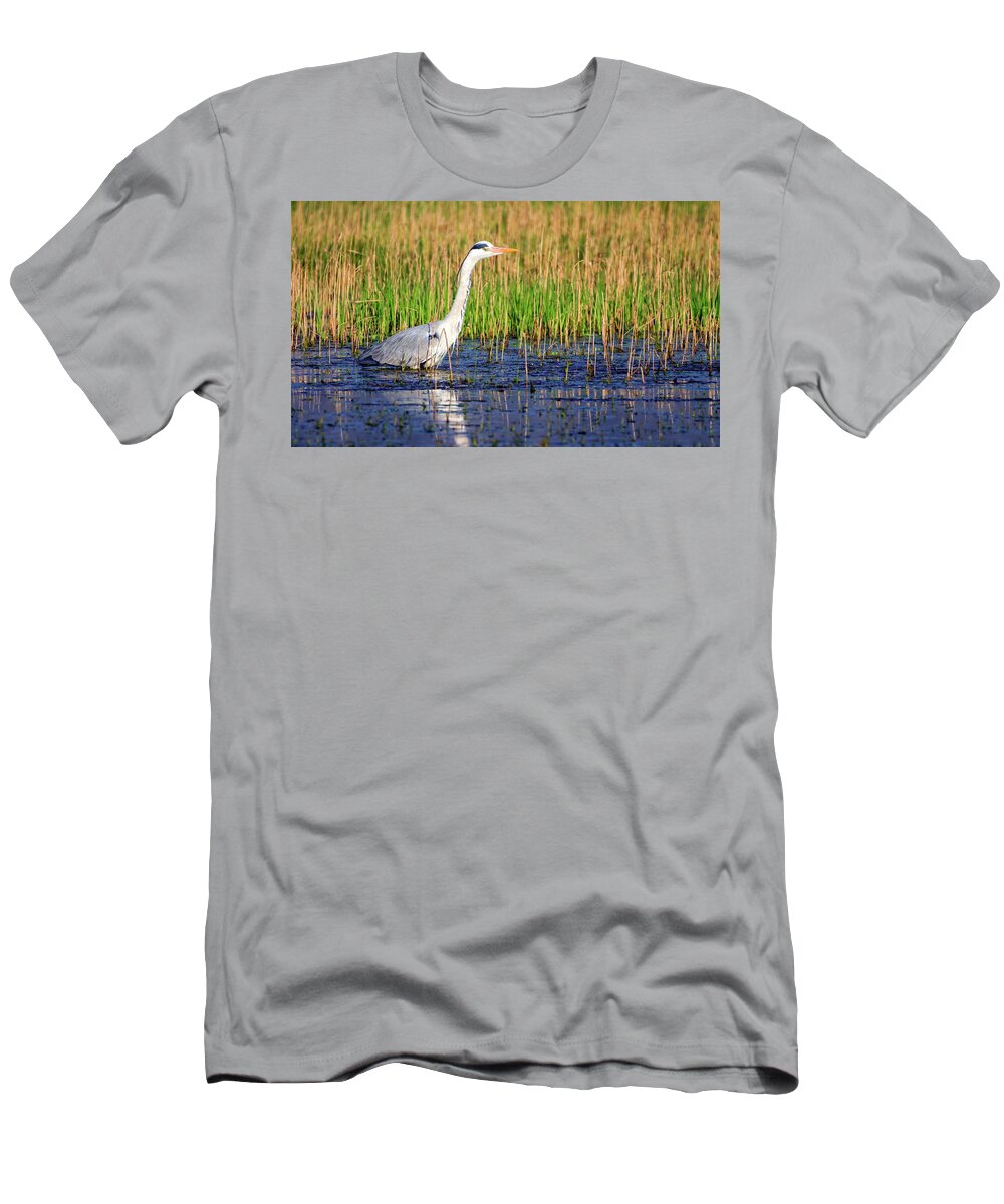 Heron T-Shirt featuring the photograph Grey heron, ardea cinerea, in a pond #1 by Elenarts - Elena Duvernay photo