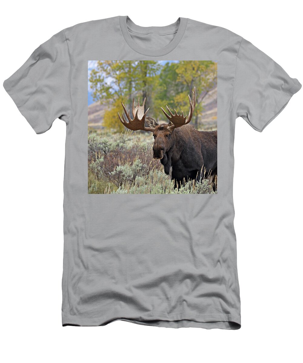 Bull T-Shirt featuring the photograph Handsome Bull #1 by Jean Clark