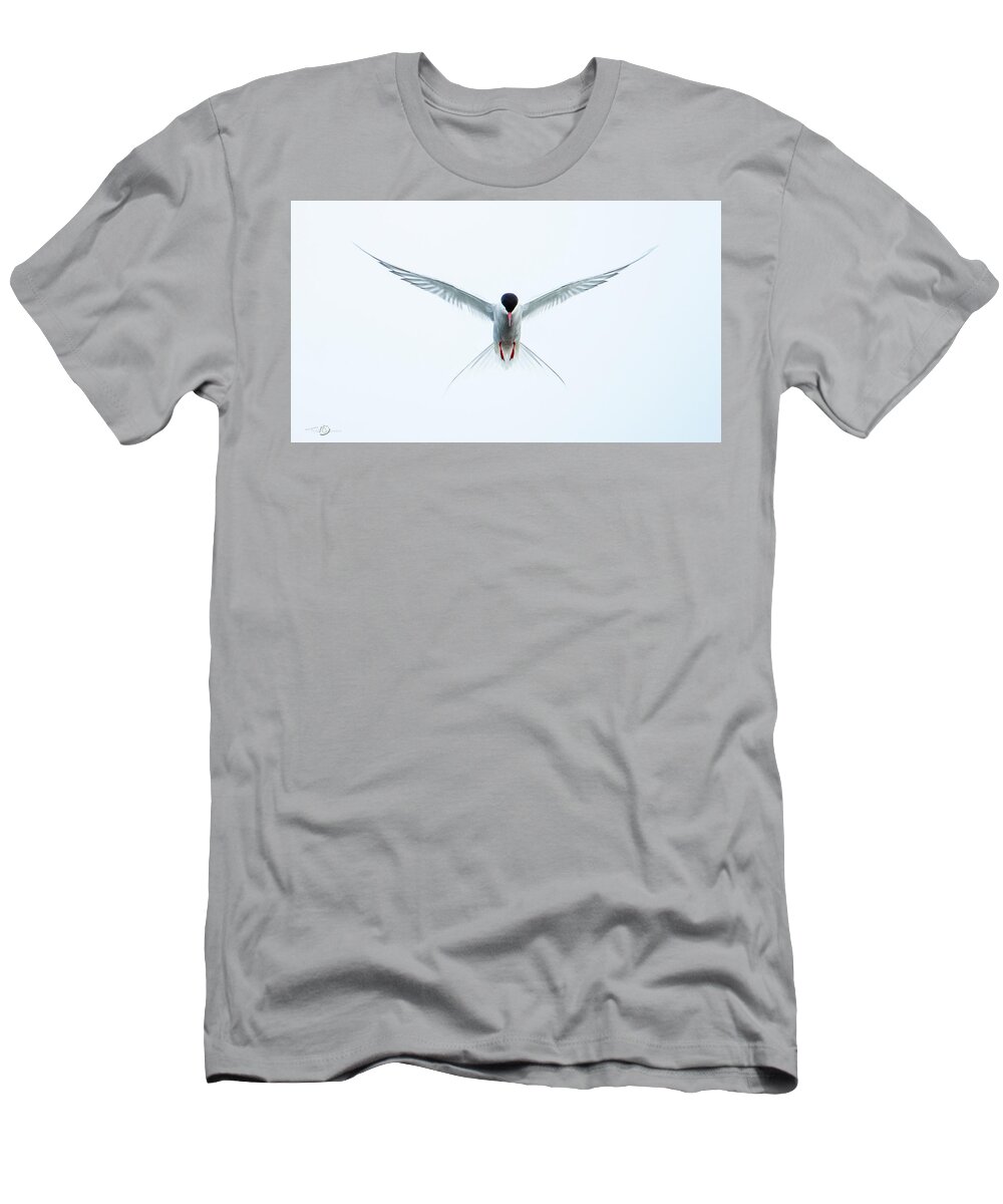 Flying Arctic Tern T-Shirt featuring the photograph Hovering Tern by Torbjorn Swenelius