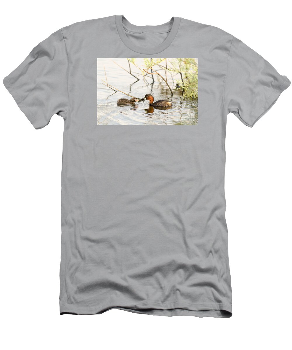 Duckling T-Shirt featuring the photograph Little Grebe Tachybaptus ruficollis #1 by Alon Meir