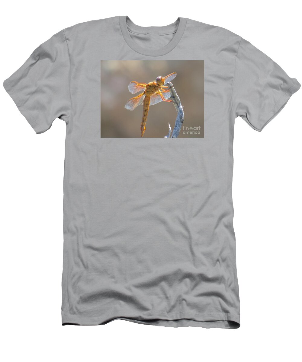 Orange T-Shirt featuring the photograph Dragonfly 5 by Christy Garavetto