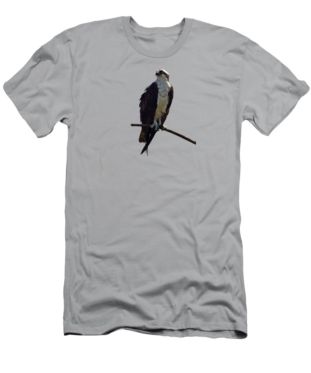 Animals T-Shirt featuring the photograph Osprey #1 by Deborah Good
