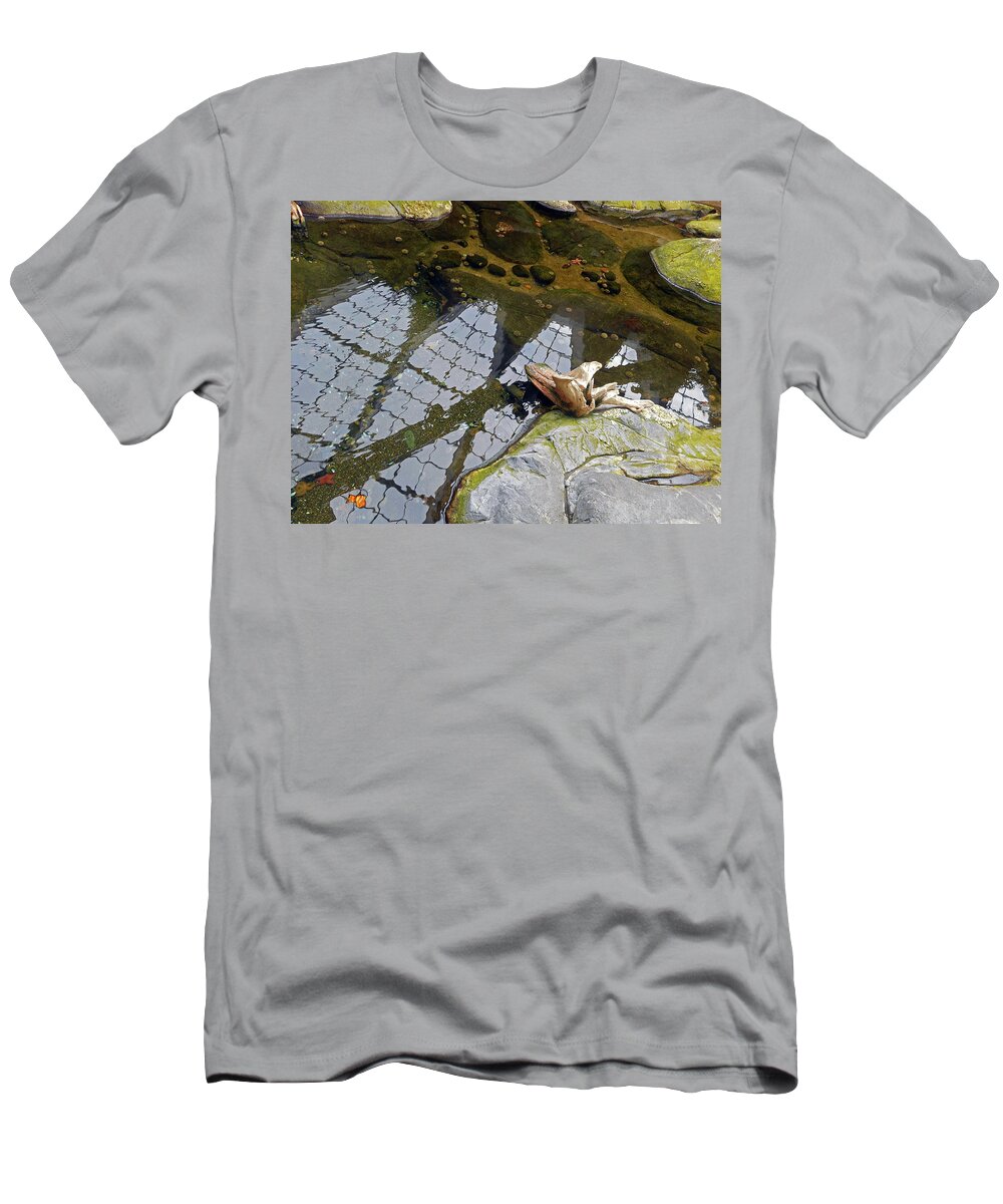 Roadside Attractions T-Shirt featuring the photograph Reflections 9 by Ron Kandt