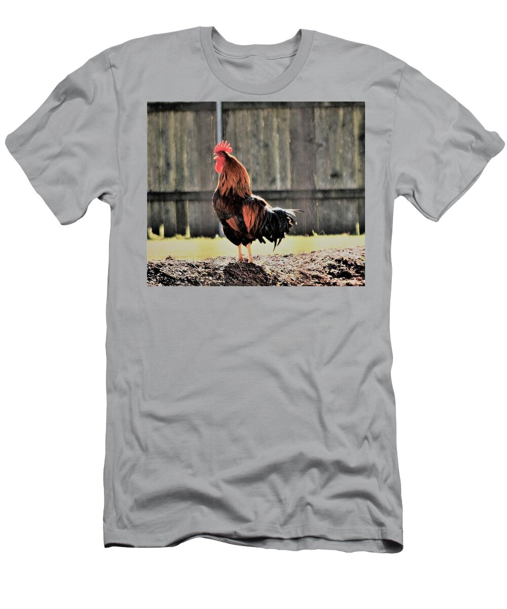 Early Morning T-Shirt featuring the photograph 2017, The Year of the Rooster by John Glass