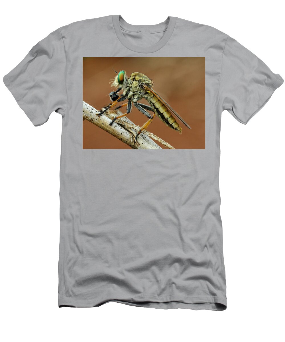 Robberflies T-Shirt featuring the photograph Robberflies / Robber Fly / Asilidae #1 by Djoko Widodo