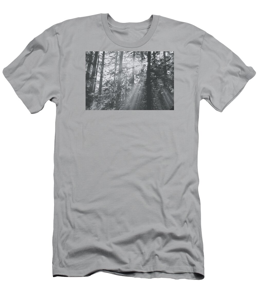 Samuel P. Taylor State Park T-Shirt featuring the photograph Splendor #1 by Laurie Search