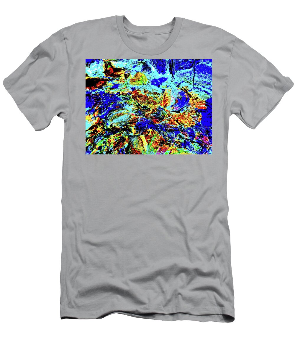 Maine Landscape T-Shirt featuring the photograph Spring 2017 136 #1 by George Ramos