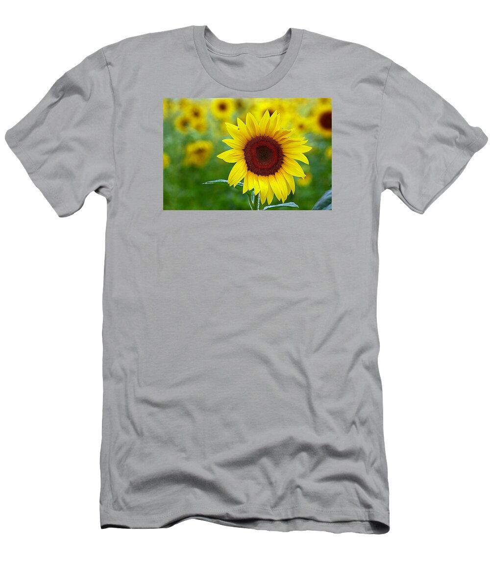 Sunflowers T-Shirt featuring the photograph Sunflower Time #1 by Karen McKenzie McAdoo