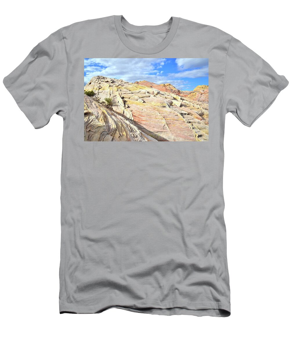 Valley Of Fire State Park T-Shirt featuring the photograph Top of the World at Valley of Fire #1 by Ray Mathis