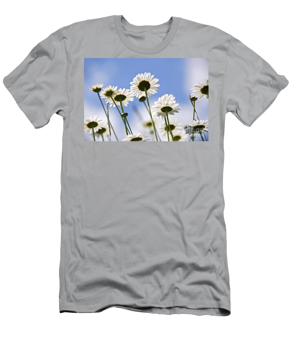 Daisy T-Shirt featuring the photograph White daisies and sky by Elena Elisseeva