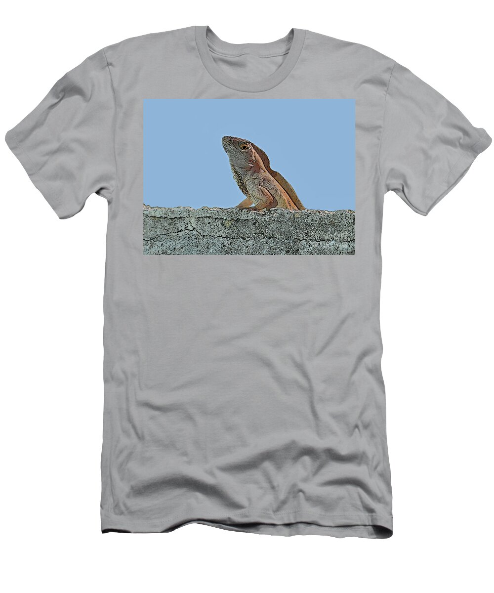 Lizard T-Shirt featuring the photograph 19- Lizard by Joseph Keane