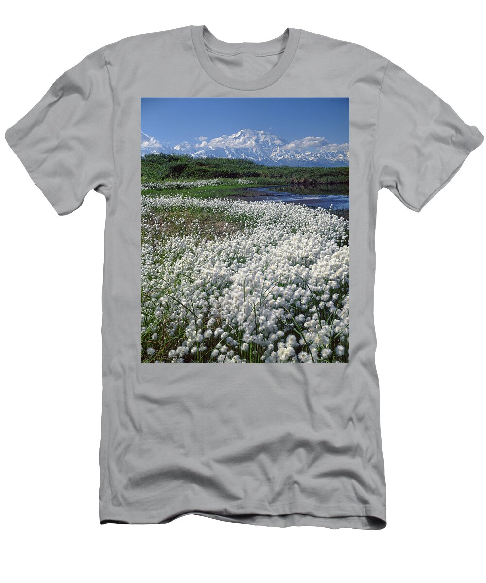 1m1370 T-Shirt featuring the photograph 1M1370 Cottongrass Tundra and Mt. McKinley by Ed Cooper Photography