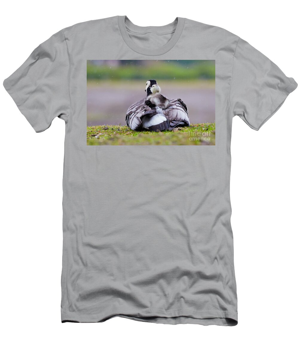 Barnacle Goose T-Shirt featuring the photograph Barnacle Goose with chick in the rain #2 by Nick Biemans