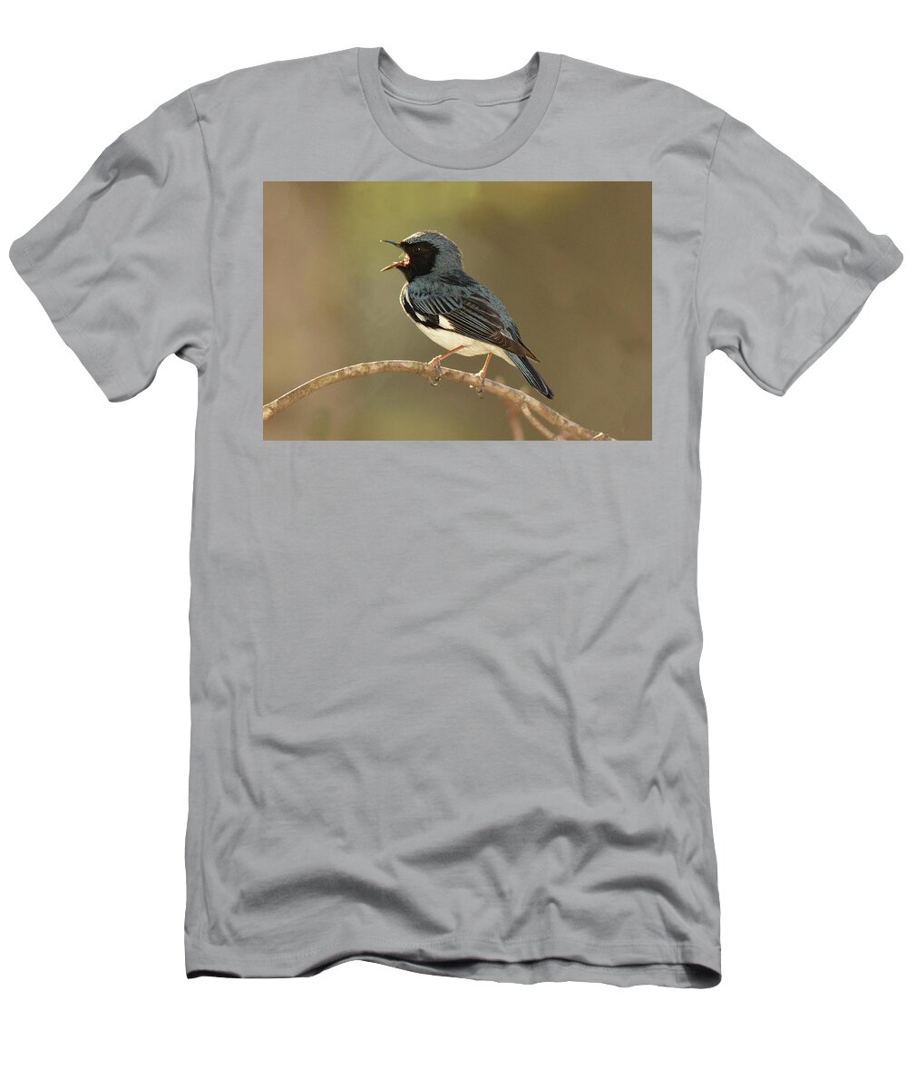 Bird T-Shirt featuring the photograph Black-throated Blue Warbler #2 by Alan Lenk