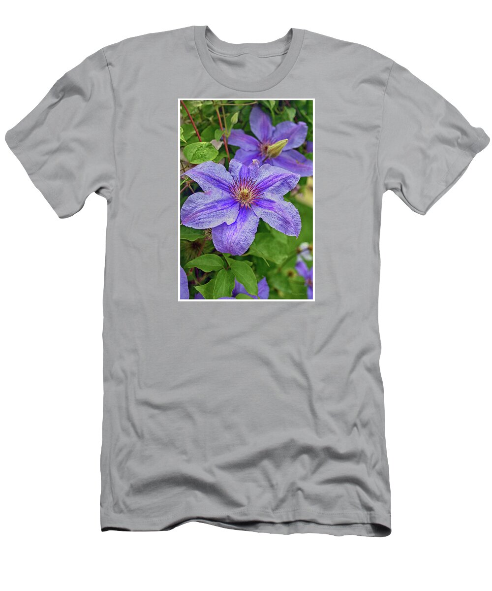 Clematis T-Shirt featuring the photograph Blue Mist Clematis #3 by Margie Wildblood