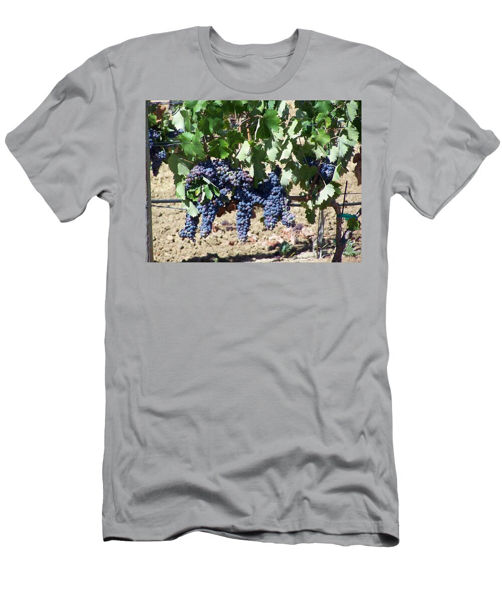 Grapevine T-Shirt featuring the photograph Grapevine #1 by Pamela Walrath